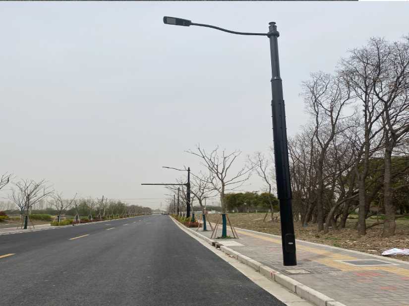 临渭区上海综合杆 太阳能路灯工程